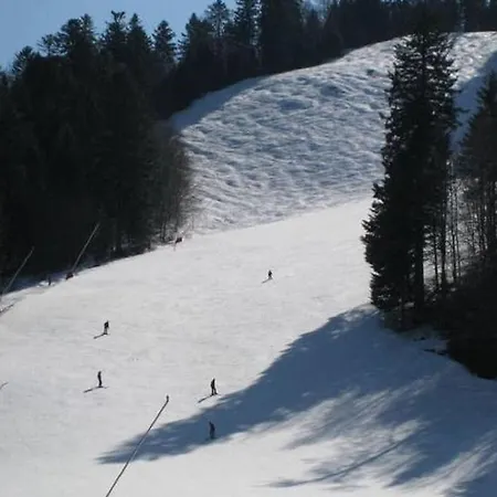 Magnificent Wooden With Sauna Domek alpejski