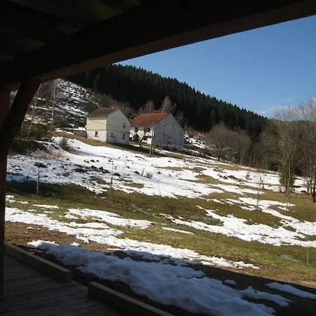 Magnificent Wooden With Sauna Chalet *