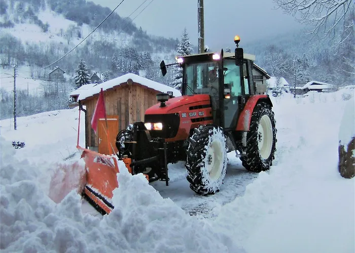 In Near La Bresse Area * Ventron