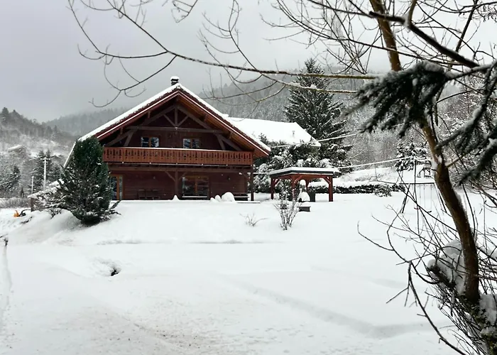 In Near La Bresse Area شاليه