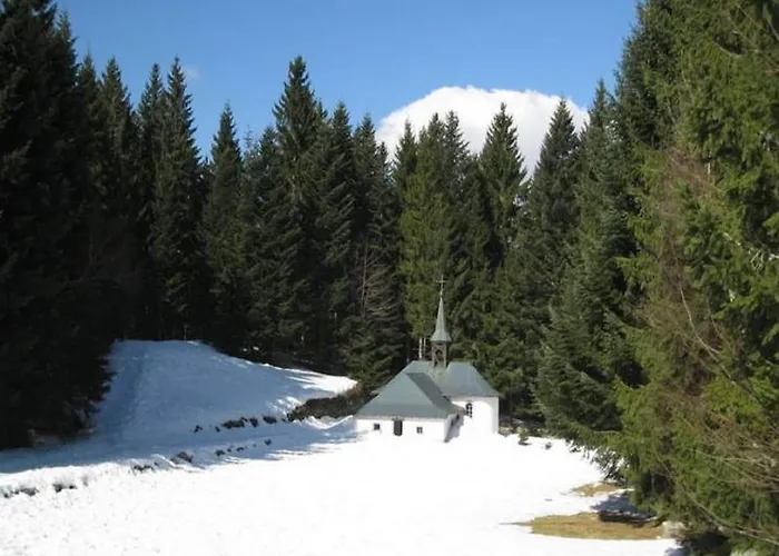 شاليه In Near La Bresse Area