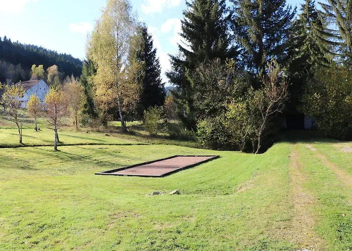 In Near La Bresse Area فينترون